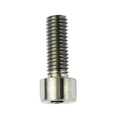 HG M8 x 25mm Titanium Bolt