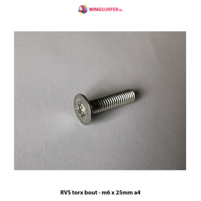 4 x RVS torx bout - m6 x 22mm a4