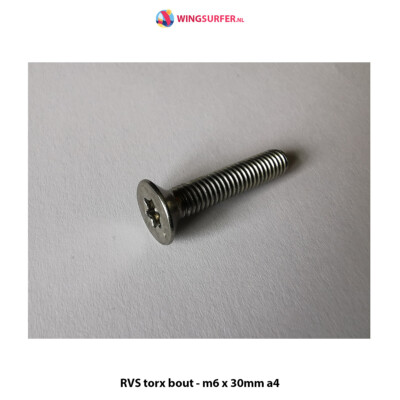 4 x RVS torx bout - m6 x 30mm a4