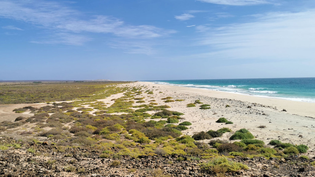 Random beach on Boa Vista